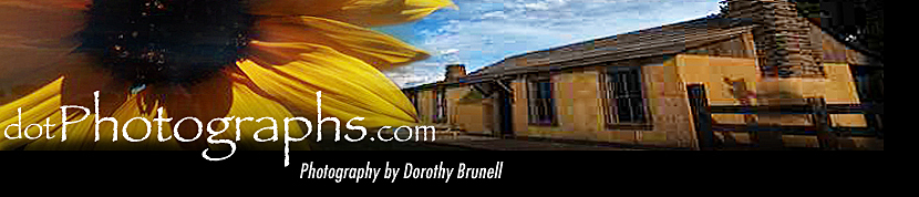 Dorothy Brunell Photography