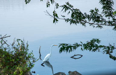 DSC_5349.jpg