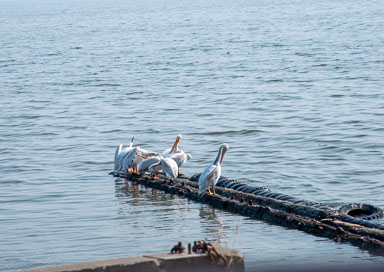 DSC_5352.jpg