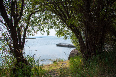 DSC_5363.jpg