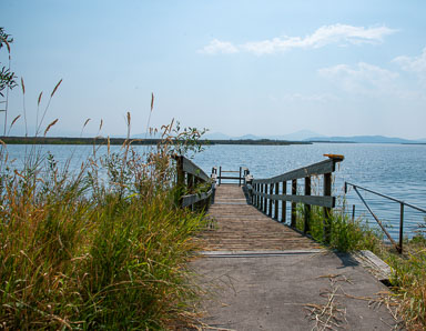 DSC_5367.jpg
