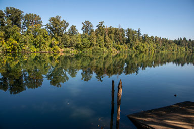 DSC_5528.jpg