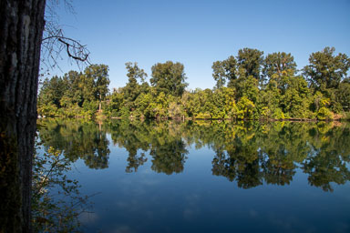 DSC_5530.jpg