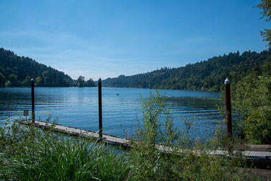 DSC_5532.jpg