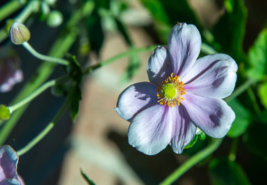 DSC_5443.jpg