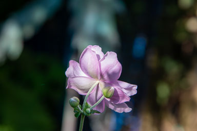 DSC_5479.jpg