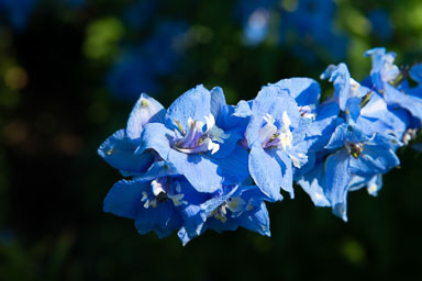 DSC_5487.jpg