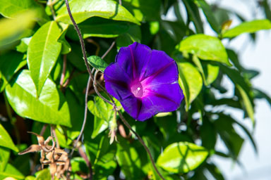 DSC_5504.jpg