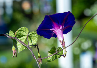 DSC_5505.jpg