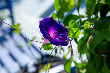 DSC_5506.jpg
