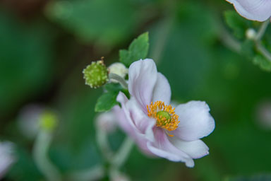 DSC_6269.jpg