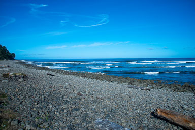 DSC_5838.jpg