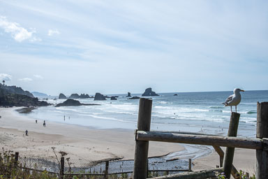 DSC_5891.jpg