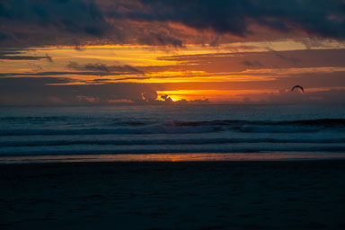 DSC_5964.jpg