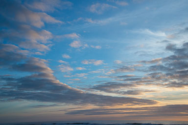 DSC_6045.jpg