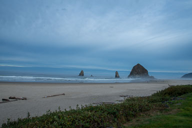 DSC_6151.jpg