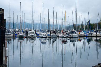 DSC_6330.jpg