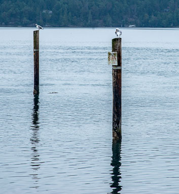 DSC_6334.jpg