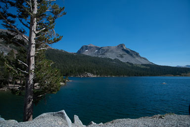 DSC_5005.jpg