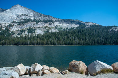 DSC_5019.jpg
