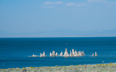 DSC_5194.jpg