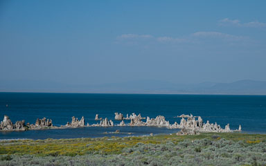 DSC_5196.jpg