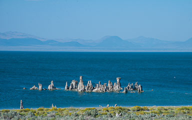 DSC_5197.jpg