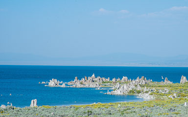 DSC_5204.jpg