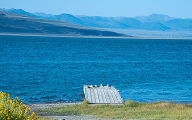 DSC_5220.jpg