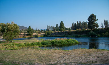 DSC_5336.jpg