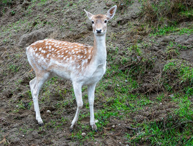DSC_6363.jpg