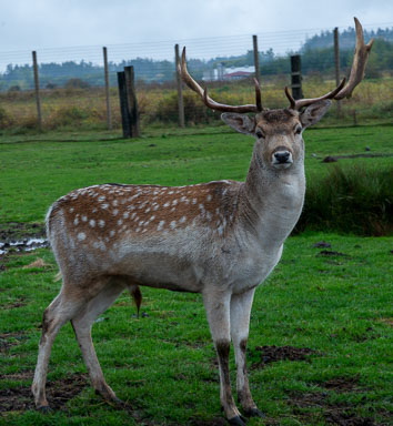 DSC_6472.jpg