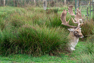 DSC_6479.jpg
