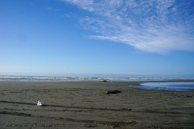DSC09577.jpg