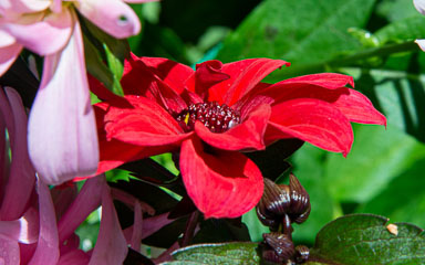 DSC_6612.jpg