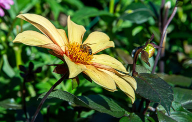 DSC_6614.jpg