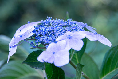 DSC_6650.jpg