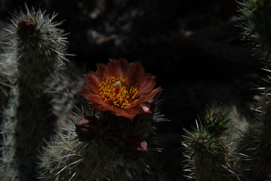 DSC_8182.jpg
