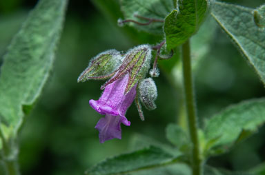 DSC_8360.jpg