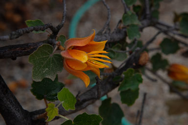 DSC_8368.jpg