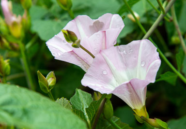 DSC_8376.jpg