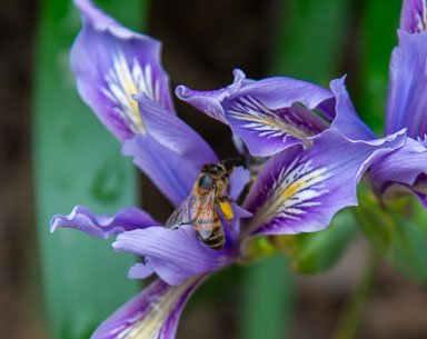 DSC_8436.jpg