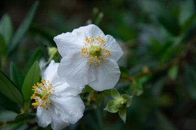 DSC_8438.jpg