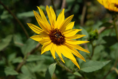 DSC_8458.jpg
