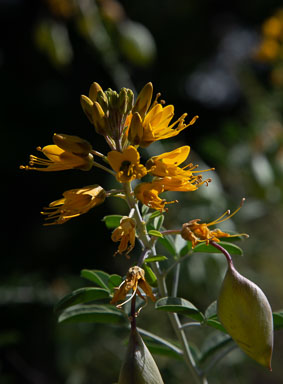 DSC_8494.jpg
