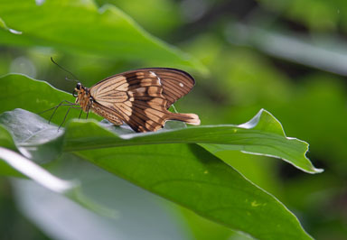 DSC_7942.jpg