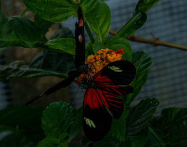 DSC_7946.jpg