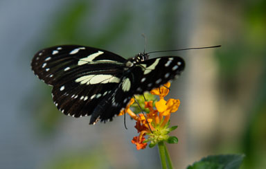 DSC_7948.jpg