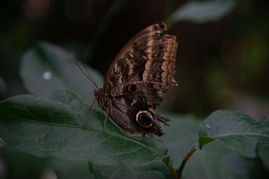 DSC_7955.jpg