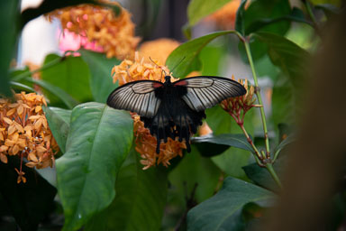DSC_7960.jpg